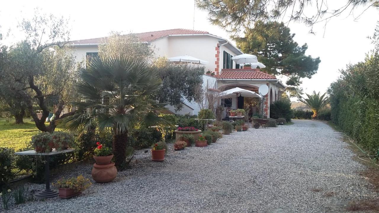 Campo Alle More Cecina  Exterior photo