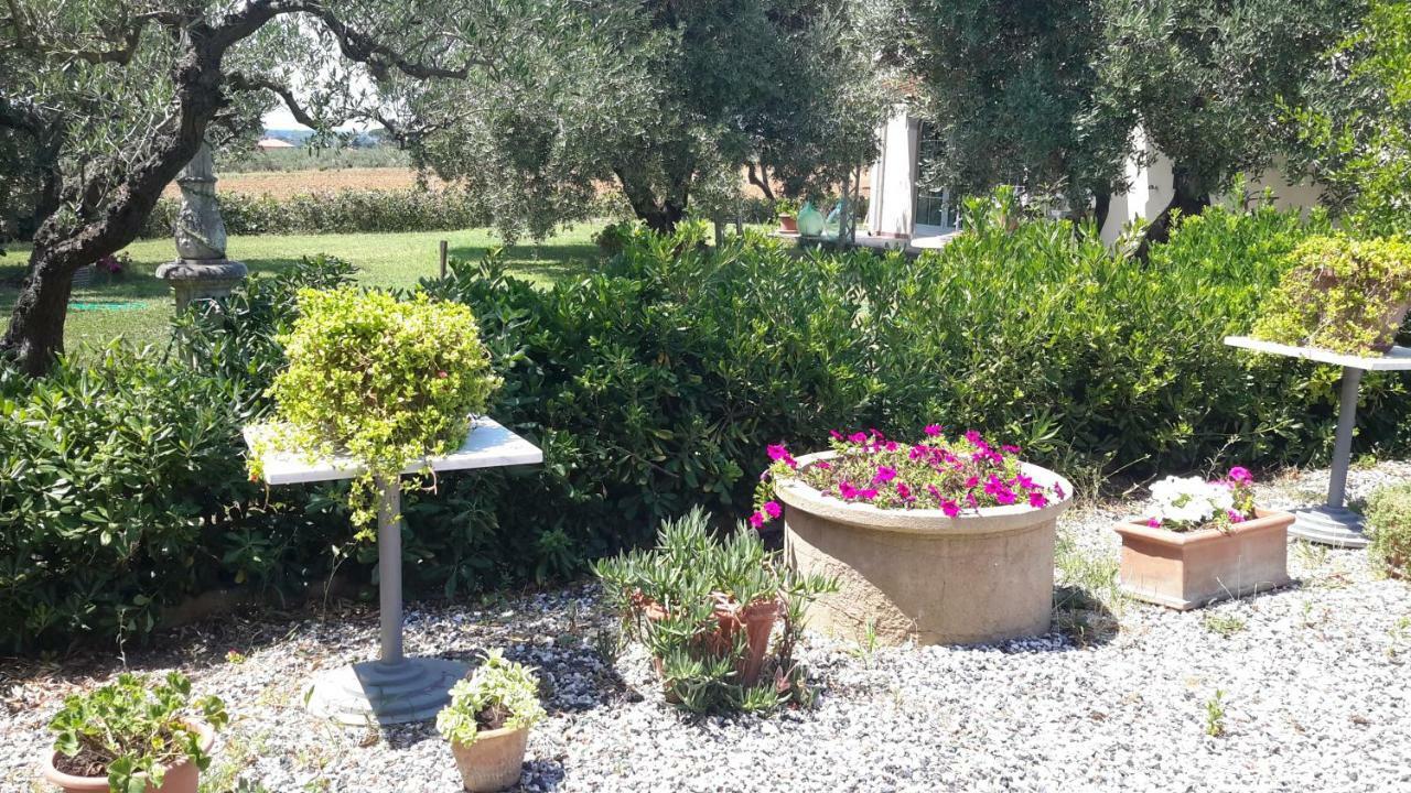 Campo Alle More Cecina  Exterior photo