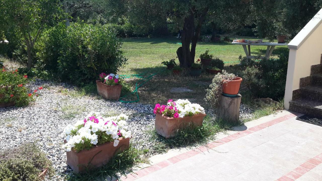 Campo Alle More Cecina  Exterior photo
