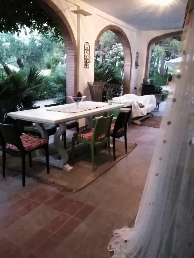 Campo Alle More Cecina  Exterior photo